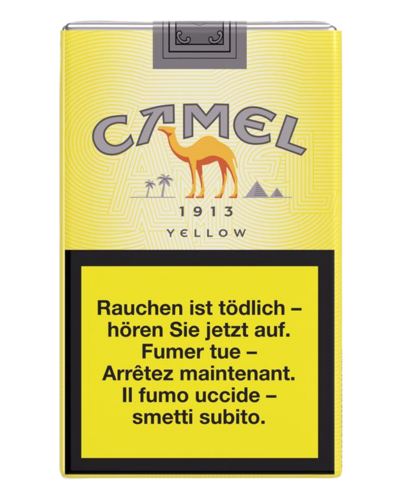 Camel